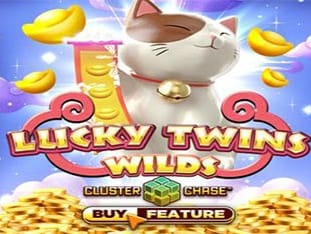 Lucky Twins Wilds icon